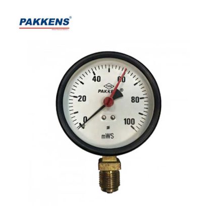 هیدورمتر پکنز PAKKENS صفحه 10 سانت عمودی خشک 100 بار