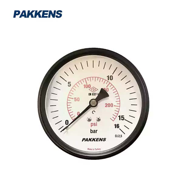 مانومتر پکنز PAKKENS صفحه 10 سانت افقی خشک (تا 25 بار)